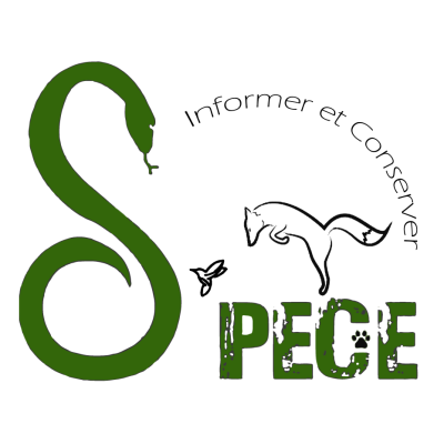 Association S'Pece (Sensibilisation à la Protection de l'Environnement et la Conservation des Espèces)